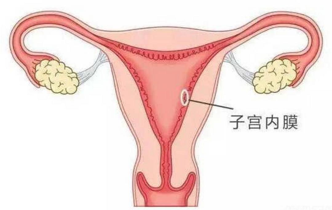 12歲女孩生死轉(zhuǎn)折，月經(jīng)不調(diào)揭示癌癥晚期真相
