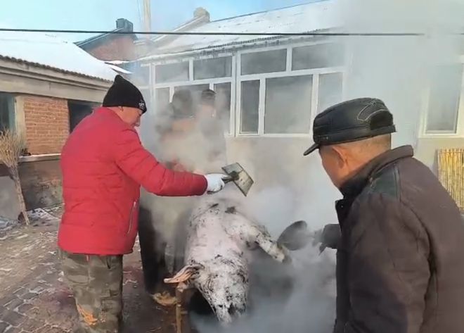 歸途，父親的監(jiān)控喊話促成意外重逢之旅