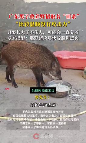 如幻如夢(mèng)亦如曦 第4頁(yè)