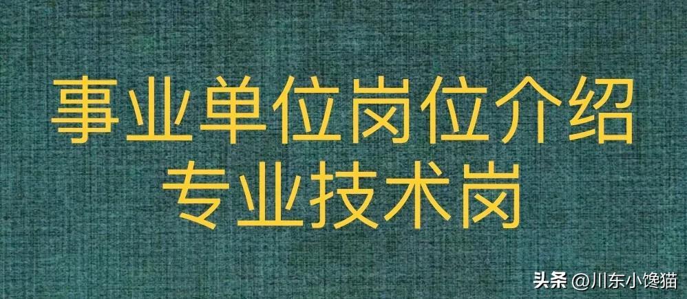 事業(yè)編信息技術(shù)崗位職責(zé)與挑戰(zhàn)解析