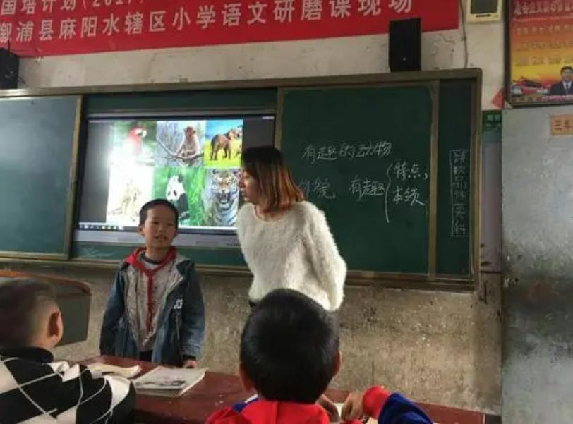 事業(yè)編考試內(nèi)容與策略深度解析