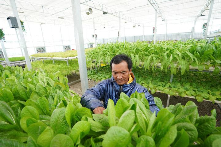 西藏事業(yè)單位報(bào)名流程全面解析