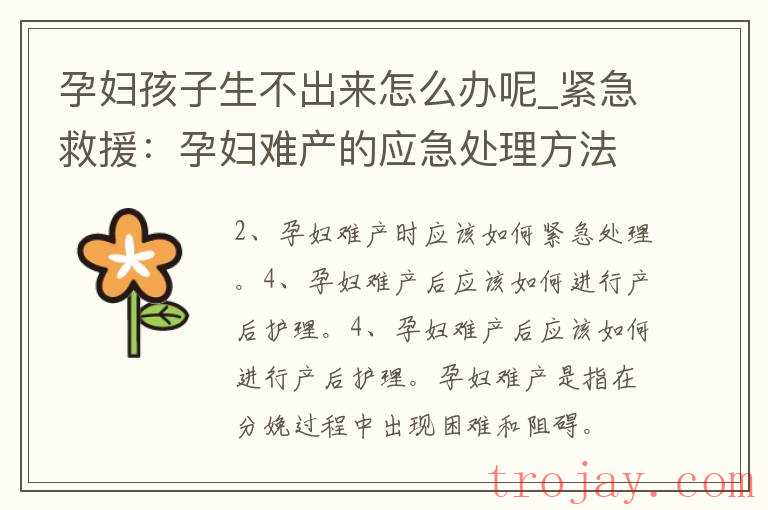 孕婦臨產(chǎn)遇汽車更新系統(tǒng)，51分鐘等待與應(yīng)急方案