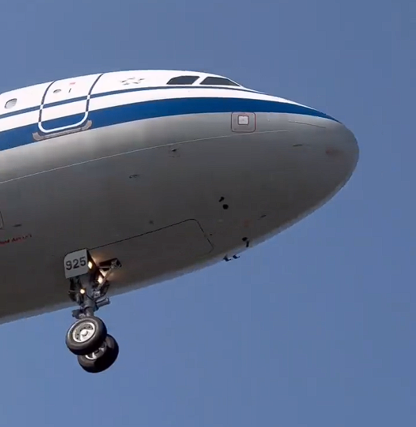 飛機撞鳥群事件，機場回應血跡清晰可見