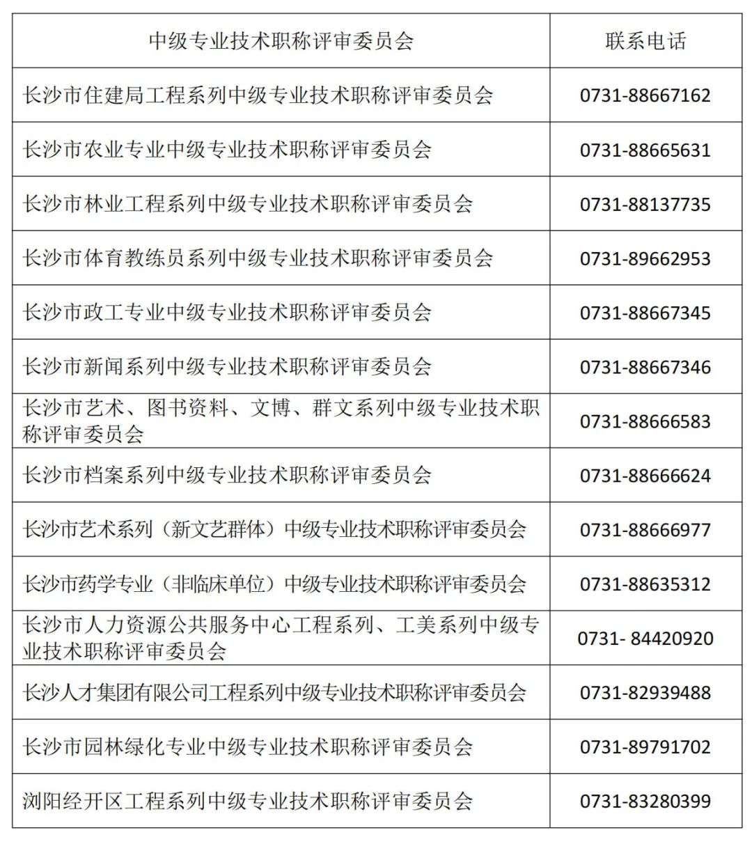 事業(yè)單位職稱目錄，構(gòu)建職業(yè)發(fā)展階梯，提升人才競爭力