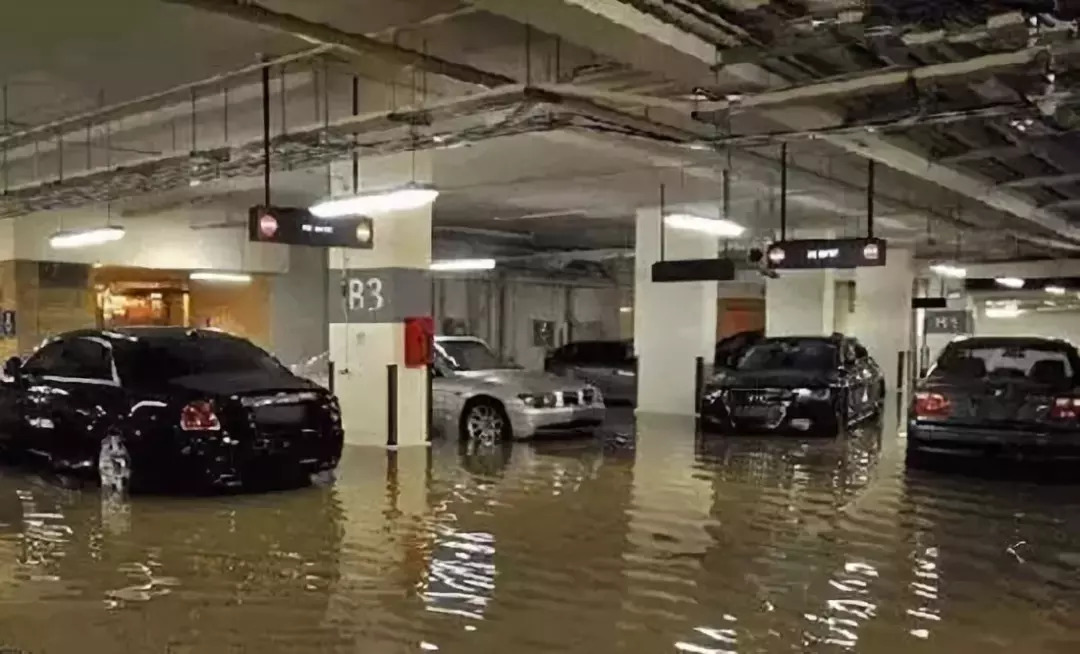 總統(tǒng)府遭洗劫，車庫(kù)內(nèi)停滿豪車