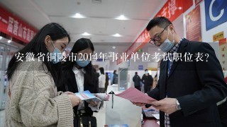 安徽省事業(yè)單位招聘職位表查詢指南大全