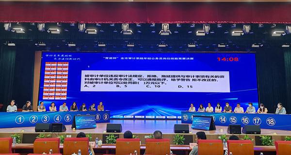 市審計中心與公務(wù)員身份解析及探討