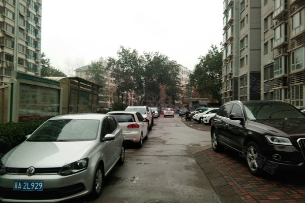 南京女子花費70萬為孩子申請上港大，因材料造假被清退引發(fā)社會關注