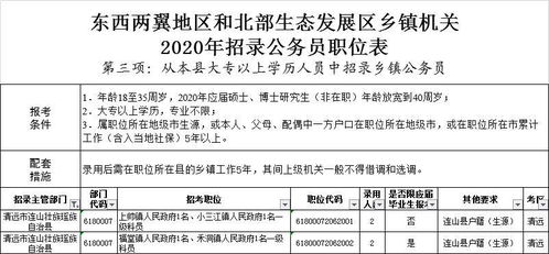 鄉(xiāng)鎮(zhèn)公務(wù)員公共考試技巧解析與備考指南