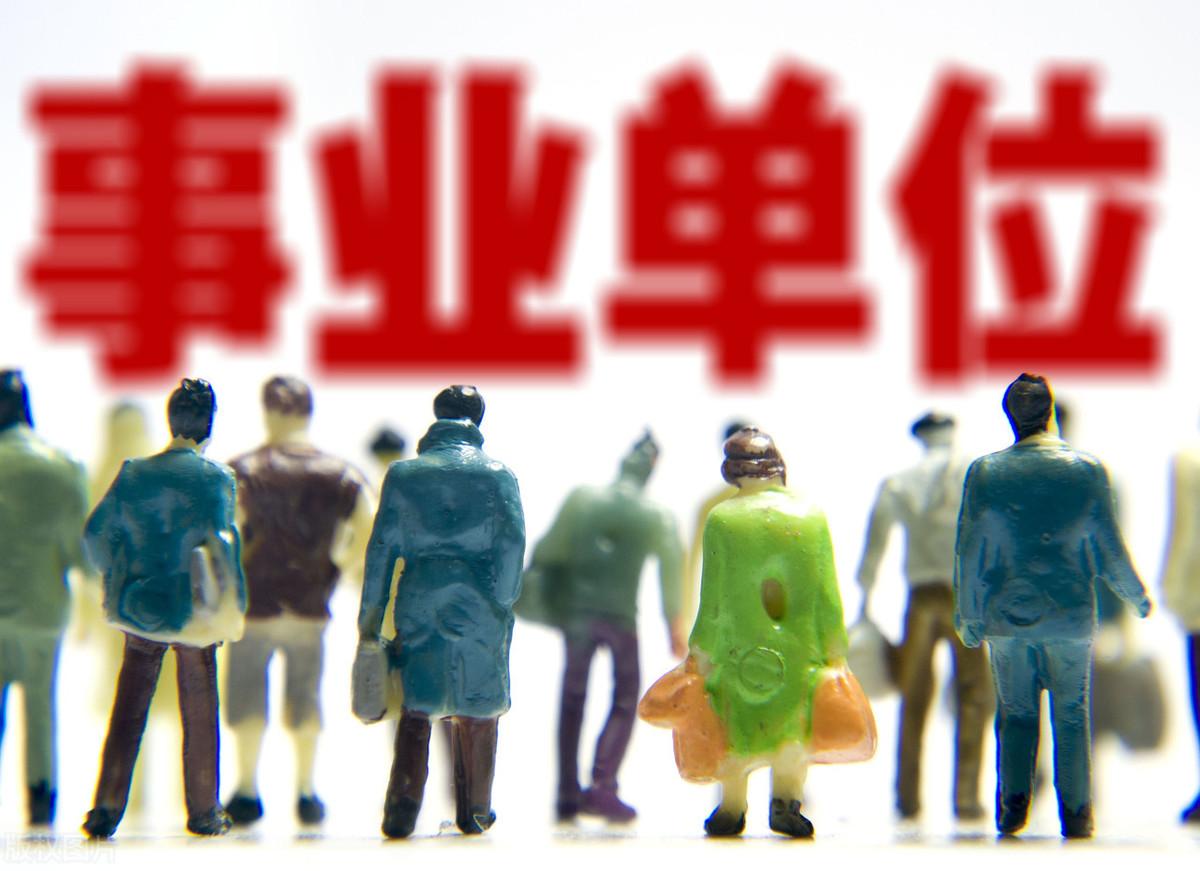 事業(yè)單位信息科，職責、挑戰(zhàn)與未來展望