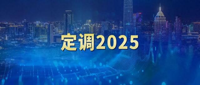 2025年經(jīng)濟(jì)工作怎么干