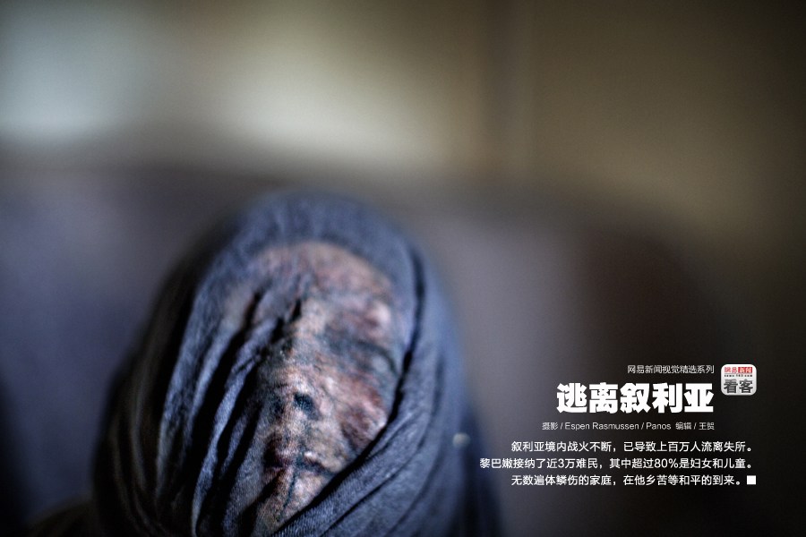 鹿畔陽(yáng)光 第3頁(yè)