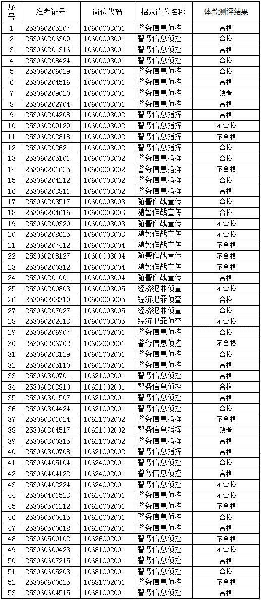 公安系統(tǒng)公務員招聘中的體能測試項目，重要性解析與內容探討