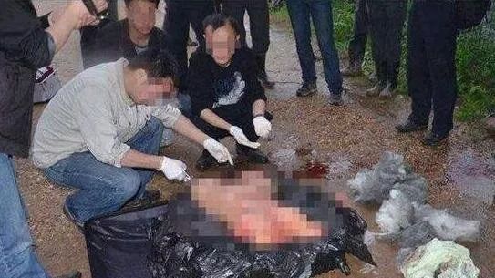 張譯喊話南大碎尸案家屬，正義不會(huì)遲到