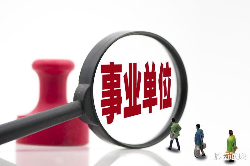 事業(yè)單位信息技術(shù)崗的職責(zé)與角色概述