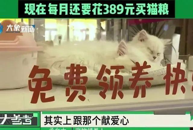 檸檬為何心酸 第4頁