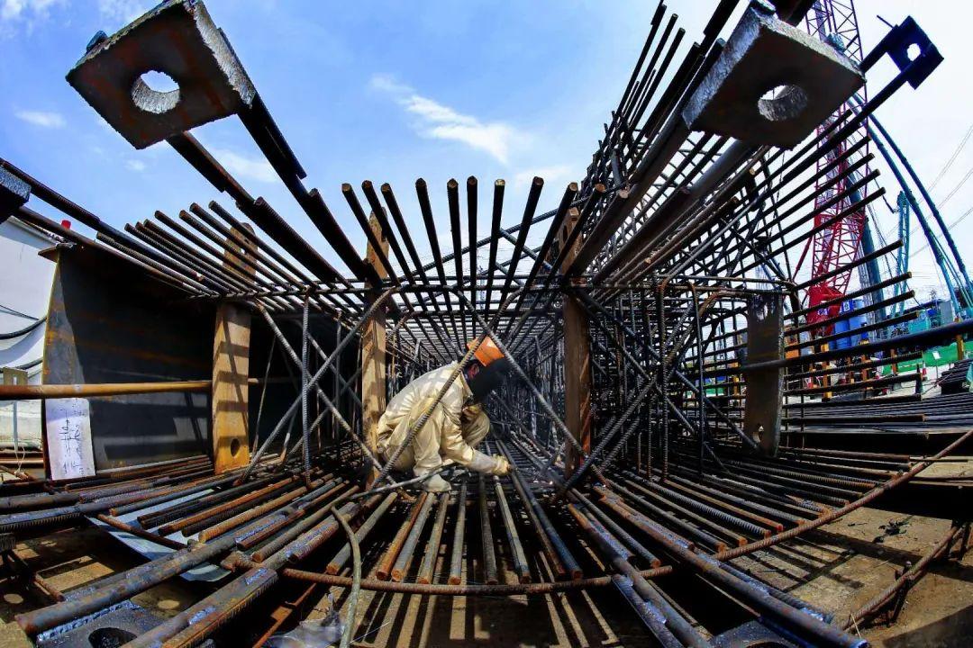 2024年上海省考職位表深度解讀與趨勢洞察