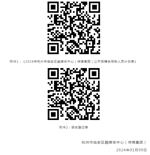 臨安區(qū)編外人員招聘展望與解析，2024年趨勢解析