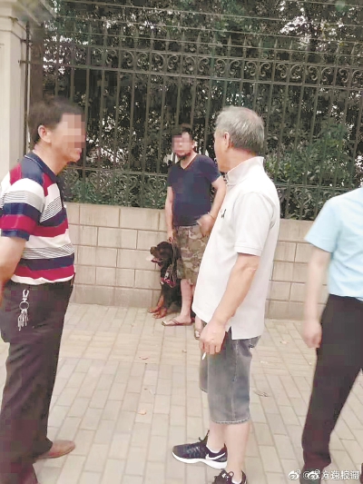母女公園散步遭撕咬，狗主人需承擔(dān)哪些法律責(zé)任？