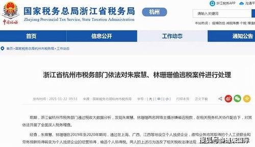網(wǎng)紅收入超千萬，報稅竟未達5000元