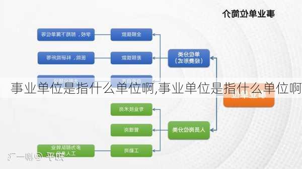 事業(yè)單位定向招聘詳解，定義與特點(diǎn)解析