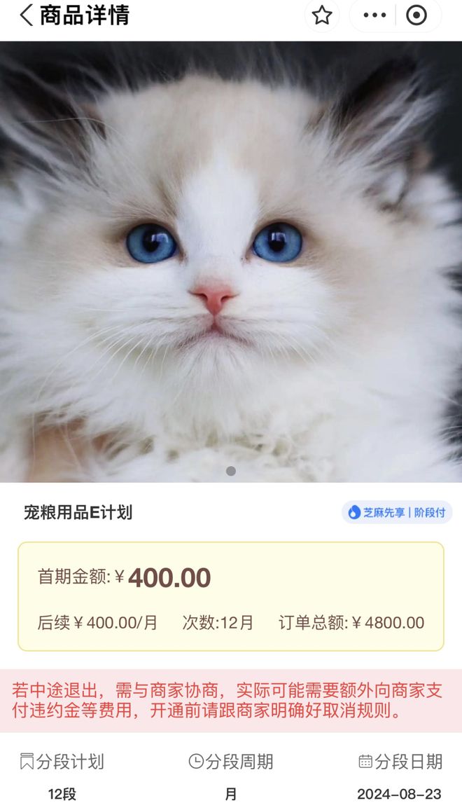 領(lǐng)養(yǎng)貓咪花費1.4萬后拒付貓貸，被告面臨法律后果