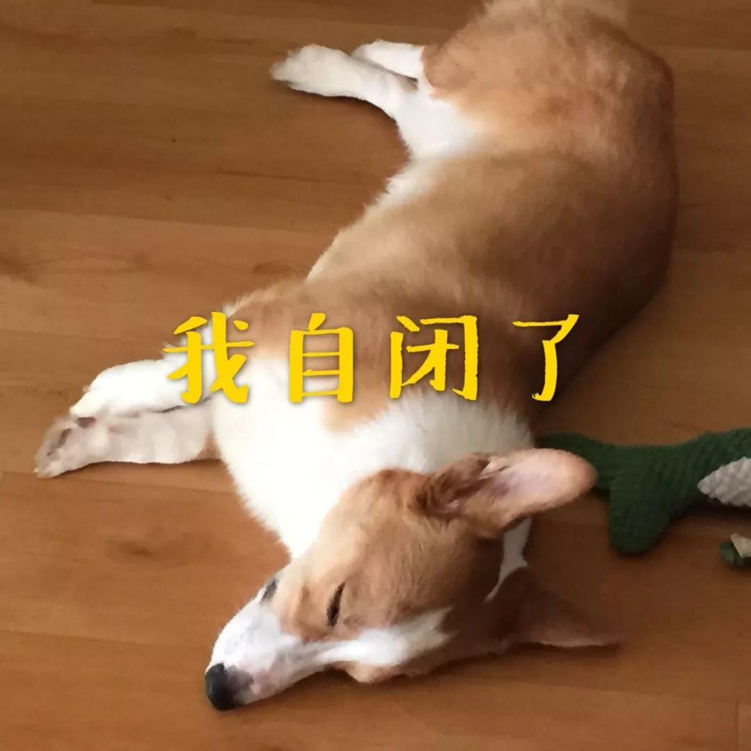 女子騎車撞樹身亡 鎮(zhèn)政府拒賠