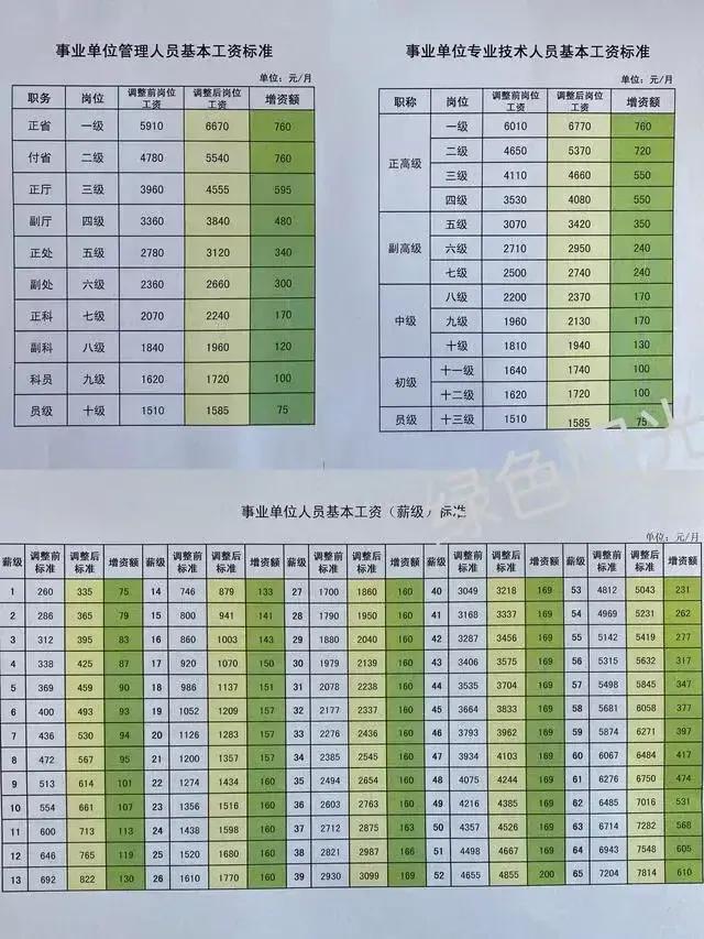 事業(yè)編改革深度探討，影響與未來走向