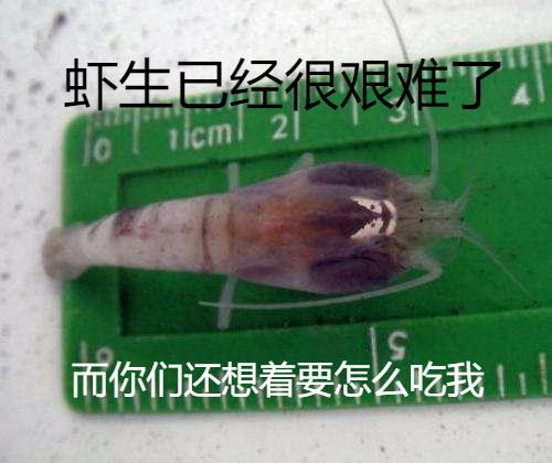 警惕突然對你好的人