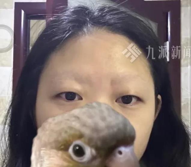 女子被鸚鵡啄光眉毛，誤以為是按摩