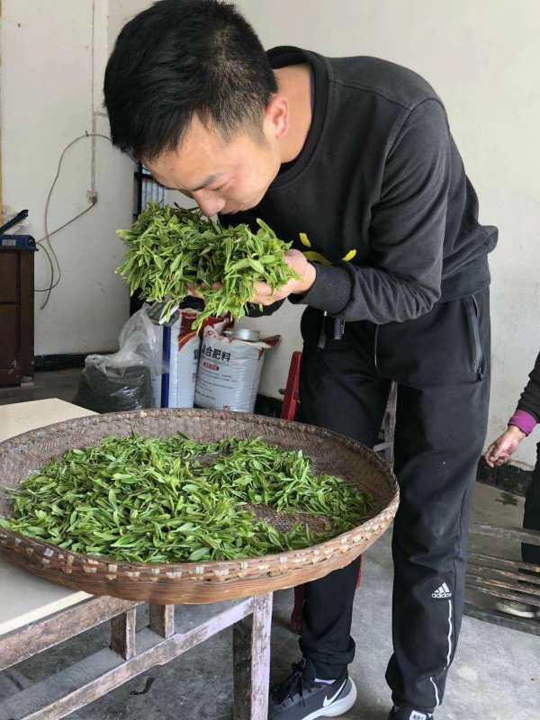 農(nóng)業(yè)局公務(wù)員招聘信息獲取途徑詳解，全面解析報(bào)名渠道與流程