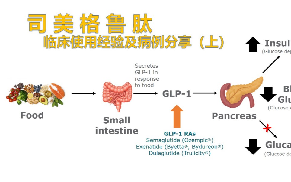 司美格魯肽的原理研究