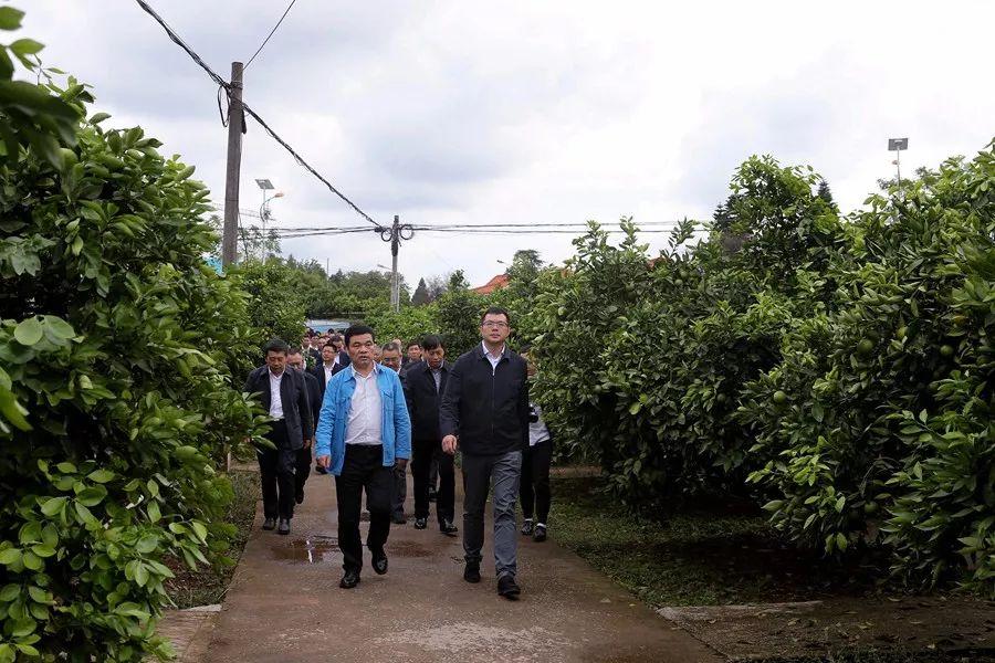 事業(yè)單位考察期，深度探索與洞察之旅