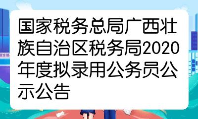 XXXX年度稅務(wù)系統(tǒng)公務(wù)員招錄公告正式發(fā)布