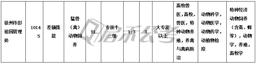 事業(yè)單位招聘真題攻略手冊(cè)，尋找指南助你備考成功！