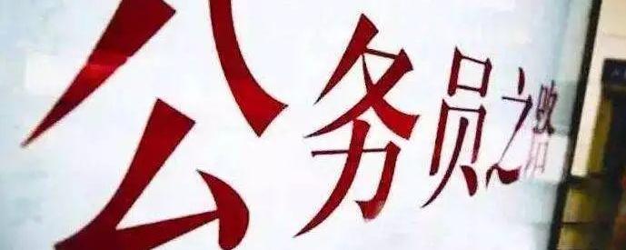 公務(wù)員條件要求深度探究與解讀