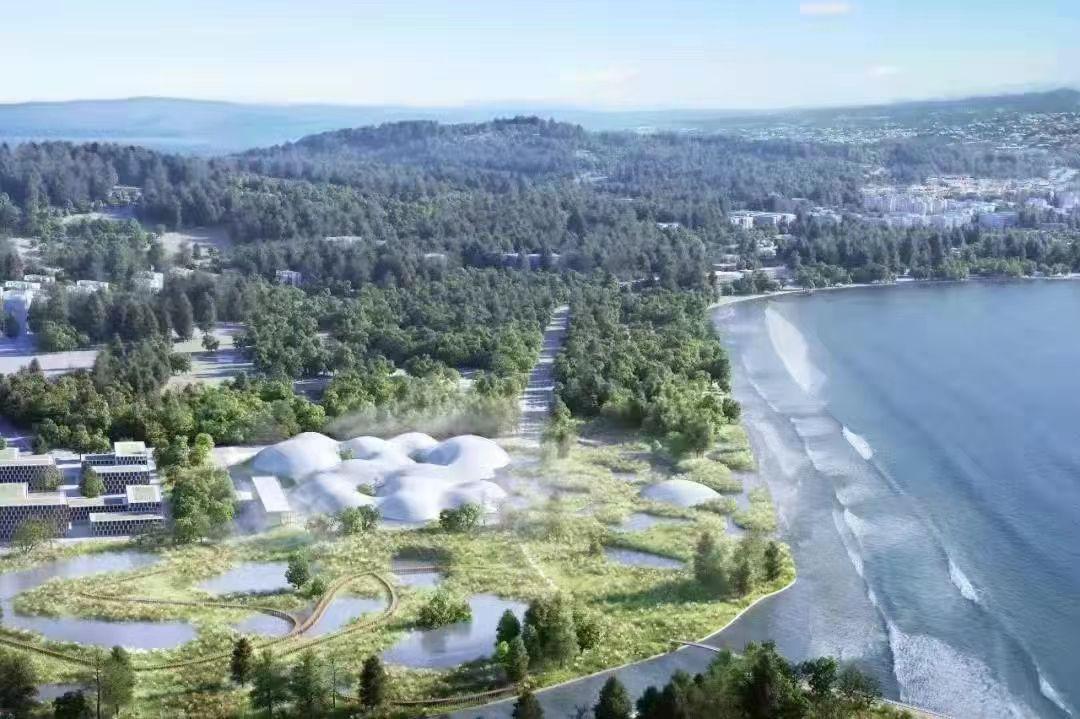 深圳事業(yè)單位招聘2024，機遇與挑戰(zhàn)并存的一年，求職者需把握機遇迎接挑戰(zhàn)