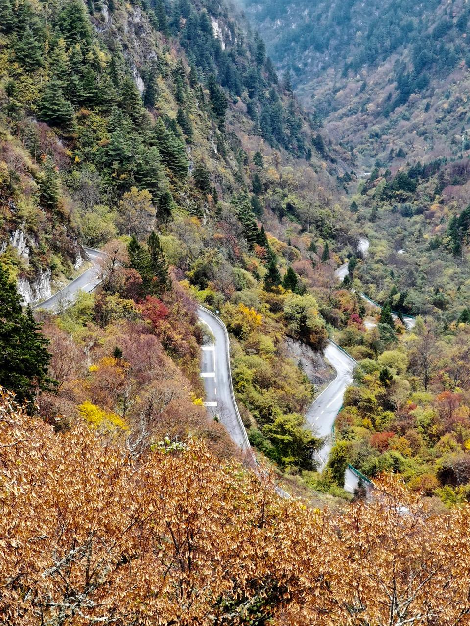 成都市編制考試時間與備考策略指南