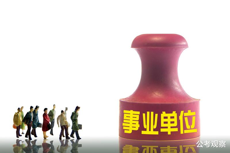 事業(yè)單位社會招聘，含義與重要性的深度解讀