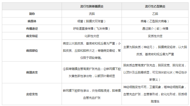 考核招聘與公開招聘的異同深度解析，兩種招聘方式對比與解析