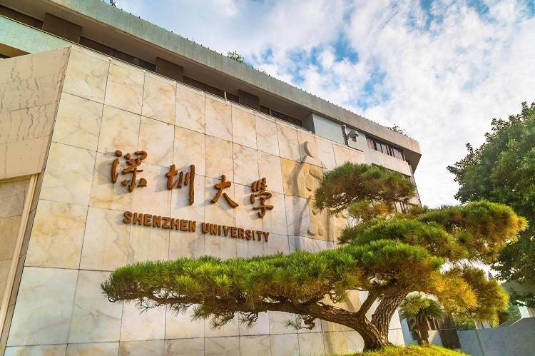 深圳事業(yè)單位職位等級(jí)制度深度解析