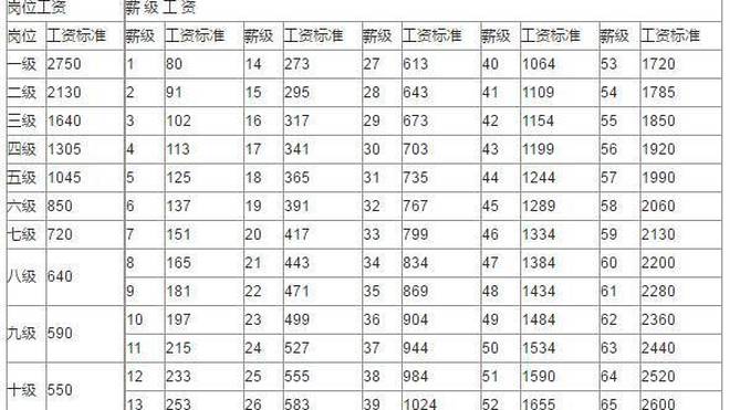 醫(yī)療事業(yè)編制級別工資體系深度解析與探索