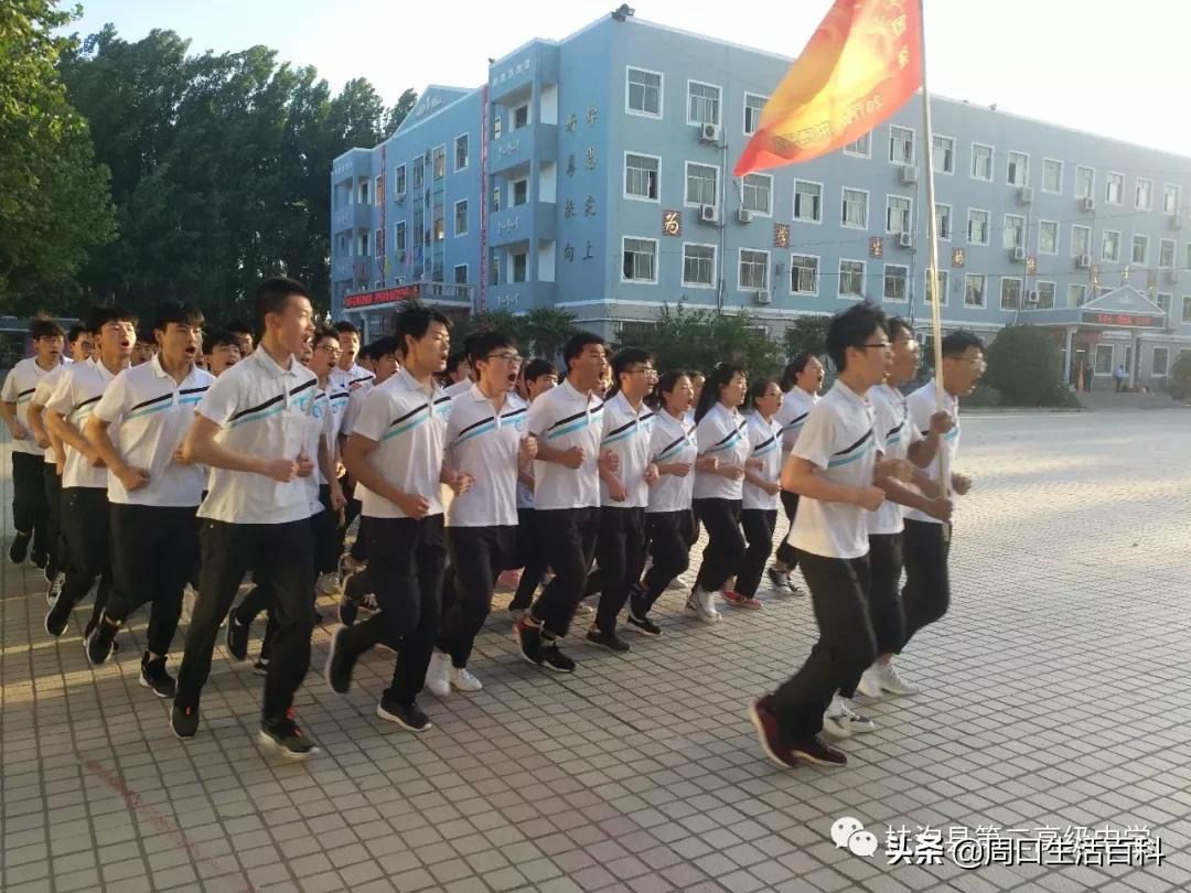 事業(yè)編教師崗位招聘要求深度解析與洞察