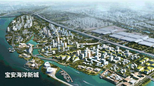 深圳事業(yè)單位考試公告公布時間及解析概覽