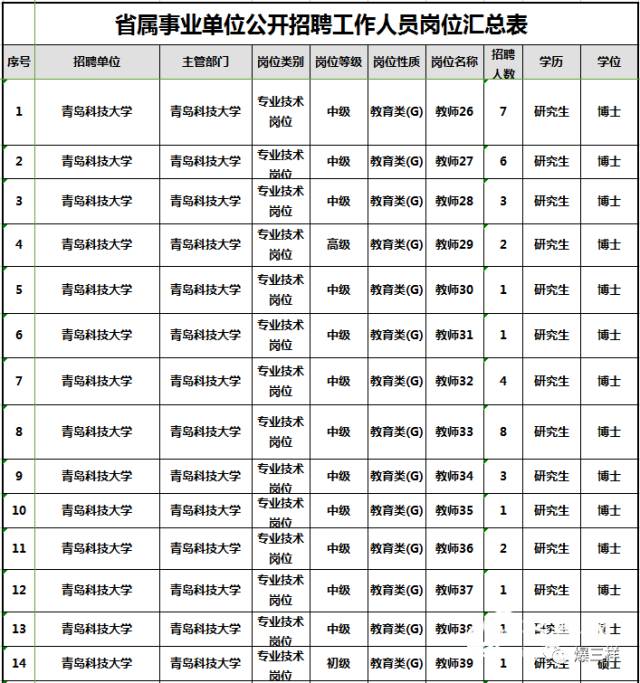 事業(yè)單位招聘崗位表深度解讀與探討