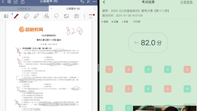 夜色中的貓 第2頁(yè)