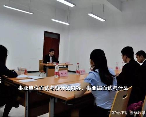 事業(yè)單位招工面試深度解析與情況分析