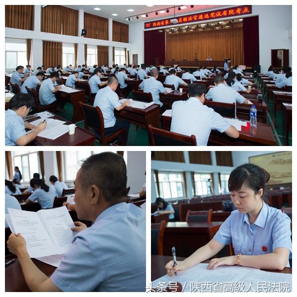 事業(yè)單位遴選考察流程全面解析