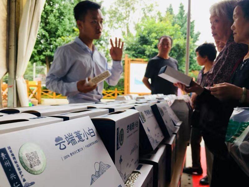 貴州省事業(yè)編考試科目的全面解析
